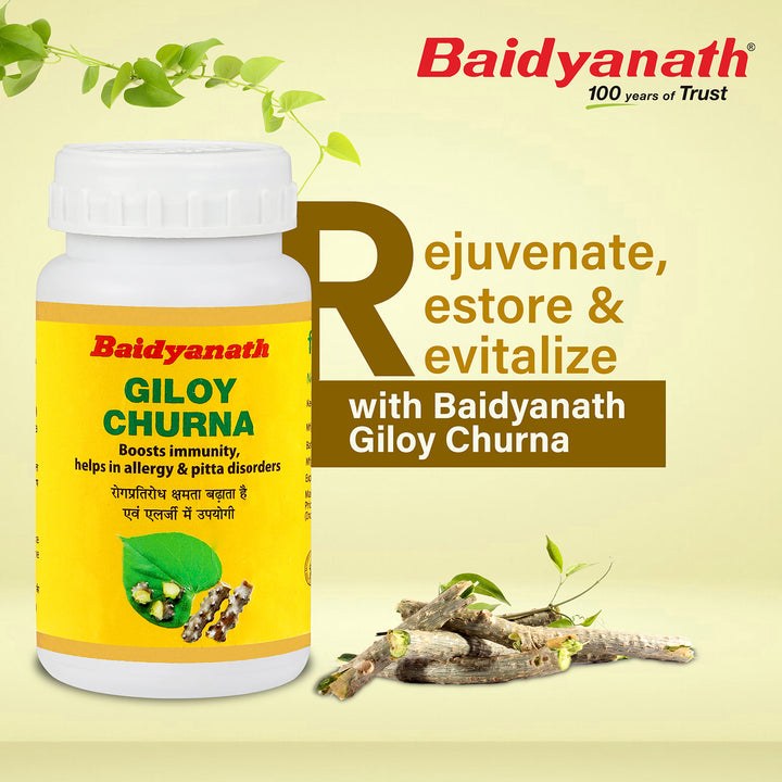 Baidyanath Giloy Churna 100gm (Pack of 2)