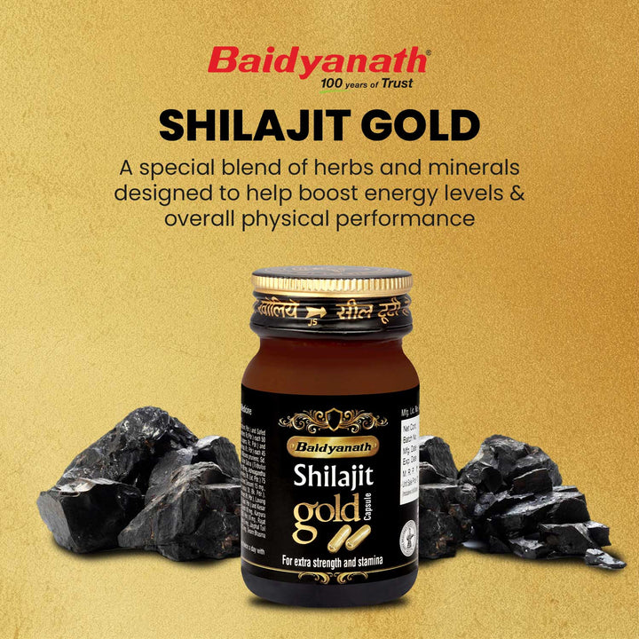 Baidyanath Shilajit Gold (20 Capsules)