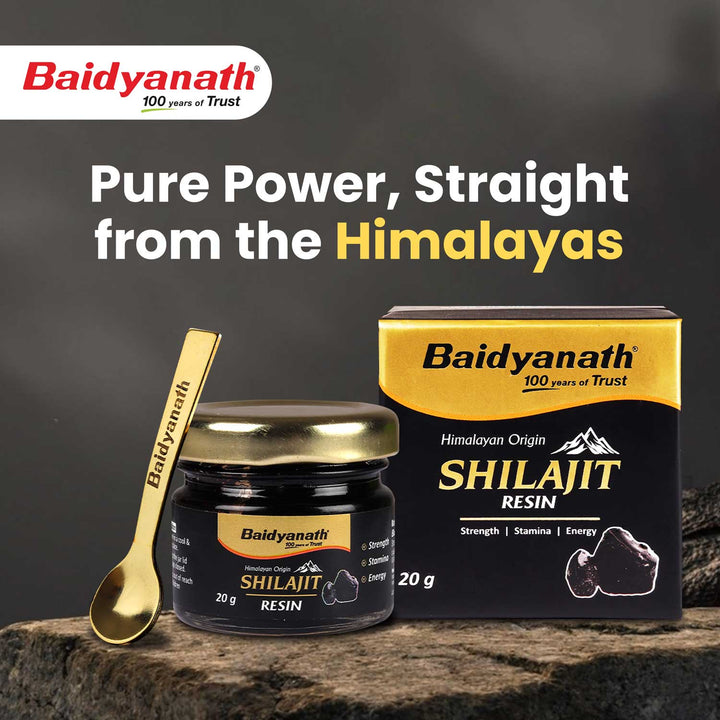 Baidyanath Himalayan Shilajit Resin| Rich in Fulvic Acid| For Strength, Power & Stamina