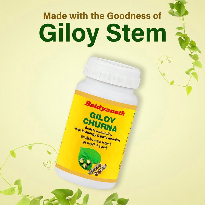 Baidyanath Giloy Churna 100gm (Pack of 2)