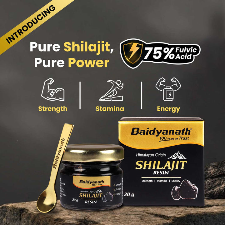 Baidyanath Himalayan Shilajit Resin| Rich in Fulvic Acid| For Strength, Power & Stamina