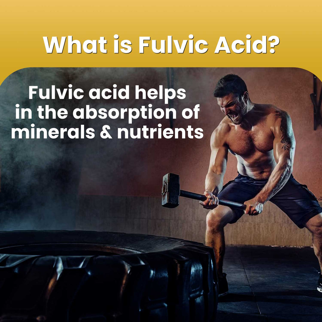 A gym man hammer attack on tire show the energy highlight the tag line what is fulvic acid? 